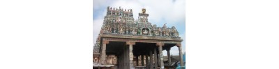 223. திருமுதுகுன்றம்